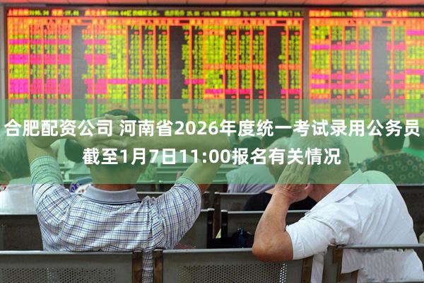 合肥配资公司 河南省2026年度统一考试录用公务员截至1月7日11:00报名有关情况