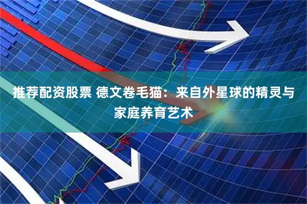 推荐配资股票 德文卷毛猫：来自外星球的精灵与家庭养育艺术