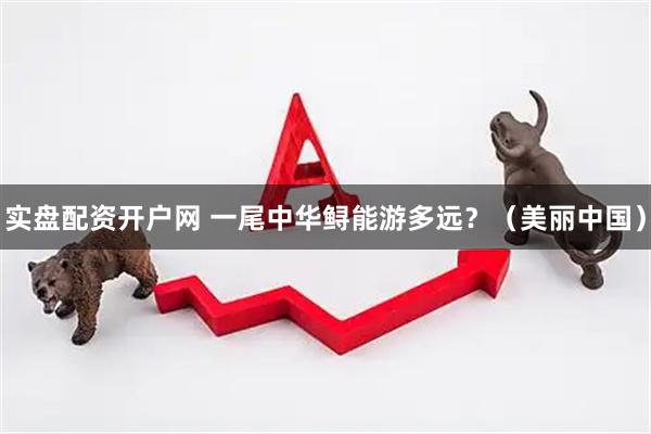 实盘配资开户网 一尾中华鲟能游多远？（美丽中国）